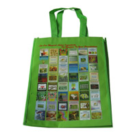 广东LB11覆膜无纺布广告袋